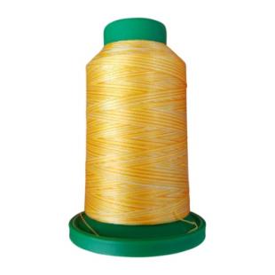 ISACORD Fils à broder Multicolore 1000m